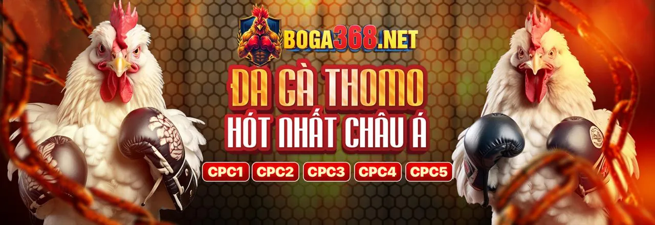Khuyến mãi chào mừng thành viên mới new 8