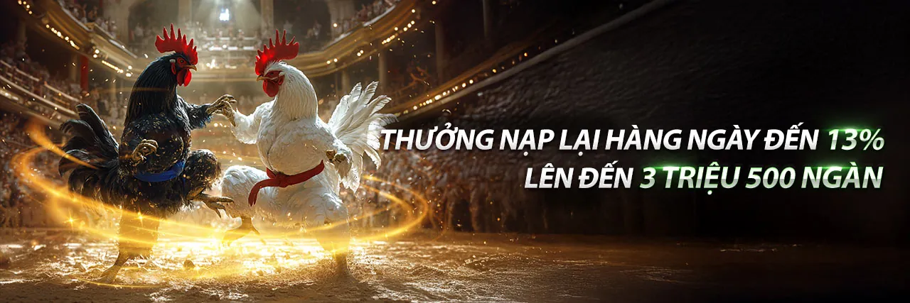 Sân đấu đá gà kịch tính tại new 8