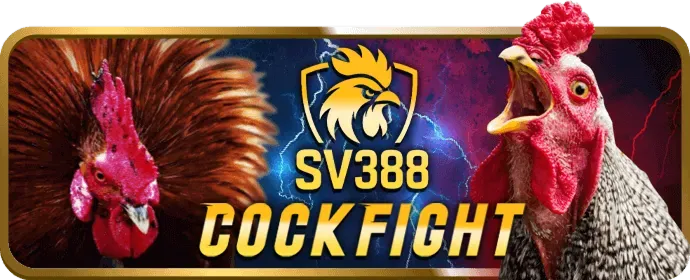 Tin tức sự kiện thể thao và cá cược new 8